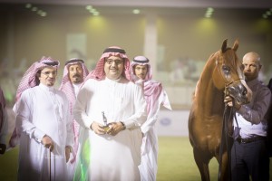 البطولة الوطنية 19