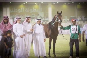 البطولة الوطنية 20