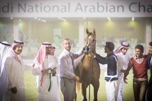 البطولة الوطنية 22