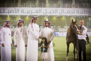 البطولة الوطنية 24