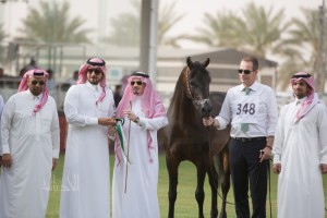 البطولة الوطنية 26