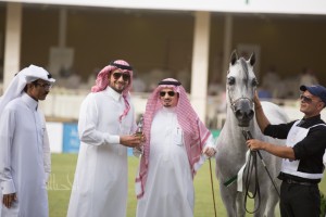 البطولة الوطنية 27