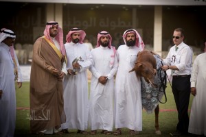  ريم غرناطه لمربط غرناطه