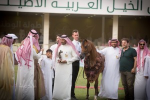 ماركيز الطرف