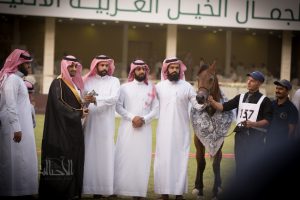  فخر غرناطه لمربط غرناطه