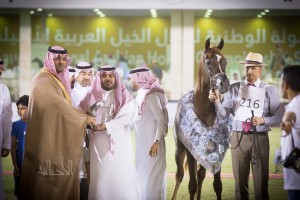  دي رعد لمربط المشعليه