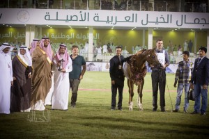 نورا ديل بلازوتو لمربط المنتهى