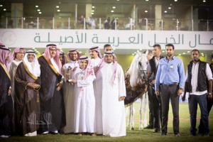 البطولة الوطنية 55