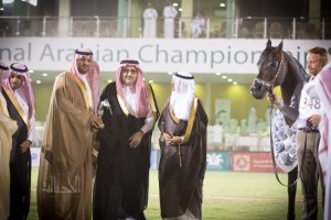  معتز البويبية