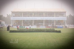 البطولة الوطنية 6