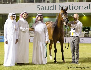 المركز الأول الفئة الثالث أ-3297