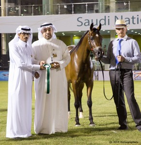 المركز الأول الفئة الثانية ج-3247