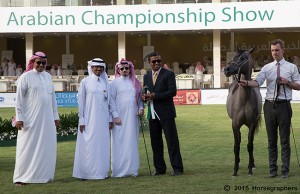 المركز الاول-2919