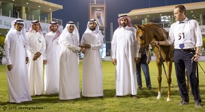 المركز الاول فئة د-3078