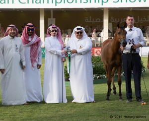 المركز الثالث فئة ب-2974