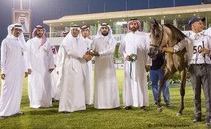 المركز الثالث فئة د-3095