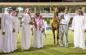 المركز الثاني الفئة الثانية ب-3196