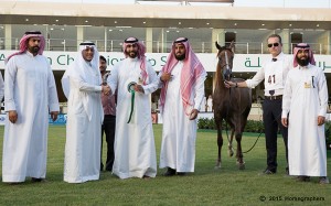 المركز الثاني فئة ج-3026