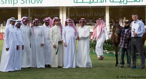 المركز الخامس فئة ب-2989