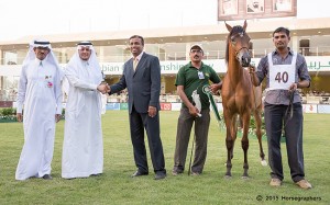 المركز الخامس فئة ج-3065