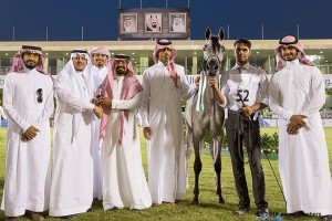 المركز الخامس فئة د-3113