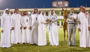 المركز الرابع فئة د-3105