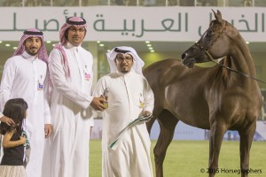 ?-?????? ???? ? ??? انوفا ار ال ٢٨٨