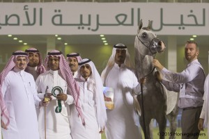 ?-?????? ?????? ??  ايميلو الشرف ٢٣٩