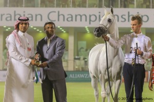 ?-?????? ???? ?  باكارولا ٢٩٠