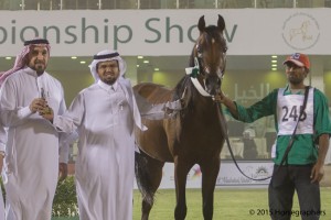 ?-?????? ?????? ?? ? جلاد المحمدية ٢٤٥