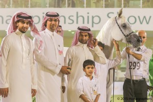 ?-?????? ???? ? ? دارا الفلا ٢٩٩