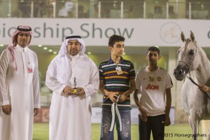 ?-?????? ???? ? ??? رة اس اف اي ٢٨٦