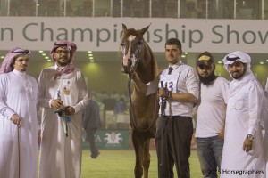 ?-?????? ?? ?? ? س مرسيدس ٢٤٣