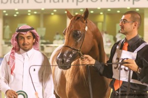 ?-?????? ???? ??? ?? سكوت ديس البز ٣٢٨