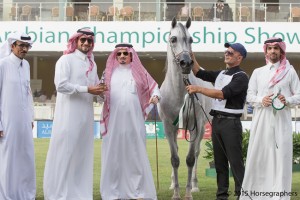 شهل الخالدية ٣٤٦