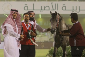 ?-?????? ?????? ??  عزام غرناطة ٢٠٢