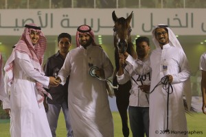 ?-?????? ?????? ??  غزال الروابي ٢٠١