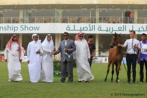 ?- ?????? ??????  فئة ٤ آ أمهار سنة منير الشقير الثاني ١٣٨