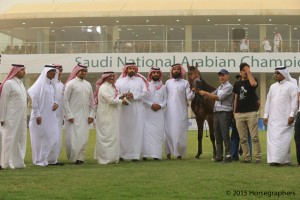 ?-?????? ???? ? ?  فخر غرناطة ١٥٧