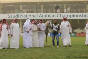 ?-?????? ???? ? ?  فهد التنهات ١٦٣