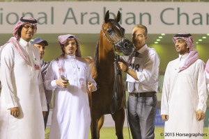 ?-?????? ???? ?  ماجورا ٢٩٨