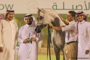 ?-?????? ???? ????  ماكسيل نوا ٣١٦