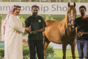 ?-?????? ???? ????  محتار الشقير ٣١٥