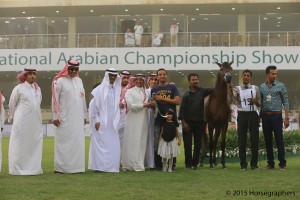 ?-?????? ???? ? ? ? ناور ايه ام ١٥٣