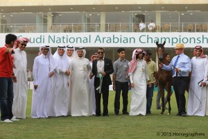 ?- ?????? ???? ني فئة ٤ آ أمهار سنة شداد?????? ???