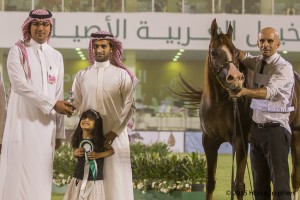 ?-?????? ???? ? ???? و ايه بريسيلا ٢٨١