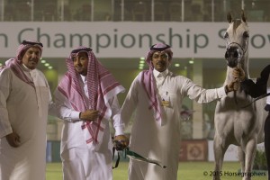 ?-?????? ???? ??? ? وفة النايفات ٢٥٦