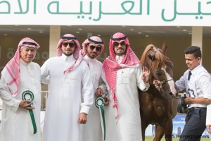 ?-?????? ???? ? ٢ بن شاي ٣٥٣