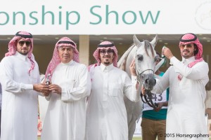 ?-?????? ???? ? ٢ غندور ٤٣٤