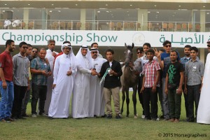 ٤- المركز الرابع فئة ٤ آ أمهار سنة تلال ١٣٥